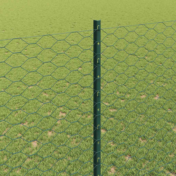 Kuusikulmainen aita pylväällä 25 x 1,5 m PVC-pinnoitettu teräs