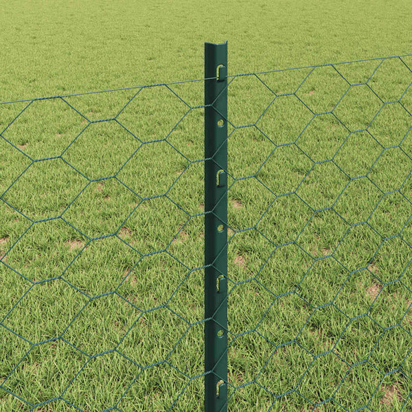 Kuusikulmainen aita pylväällä 50 x 0,8 m PVC-pinnoitettu teräs