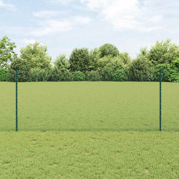 Kuusikulmainen aita pylväällä 50 x 1 m PVC-pinnoitettu teräs