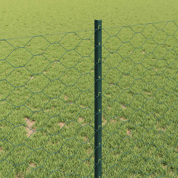 Kuusikulmainen aita pylväällä 50 x 1 m PVC-pinnoitettu teräs