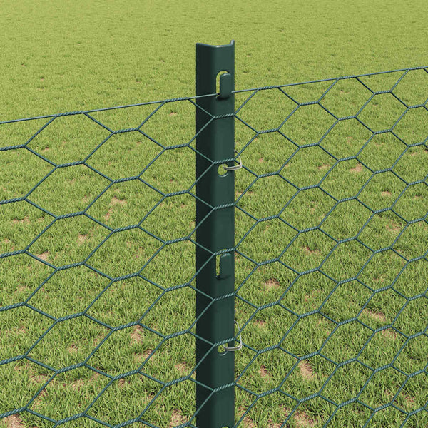 Kuusikulmainen aita pylväällä 50 x 1,2 m PVC-pinnoitettu teräs