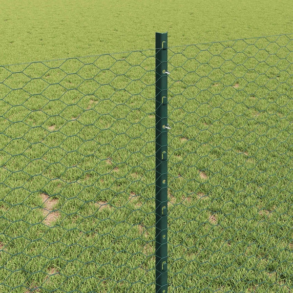 Kuusikulmainen aita pylväällä 100 x 1 m PVC-pinnoitettu teräs