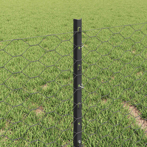 Kuusikulmainen aita pylväällä 10 x 0,4 m PVC-pinnoitettu teräs