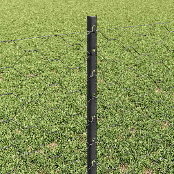 Kuusikulmainen aita pylväällä 10 x 0,6 m PVC-pinnoitettu teräs