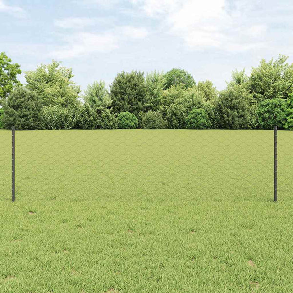 Kuusikulmainen aita pylväällä 10 x 0,6 m PVC-pinnoitettu teräs