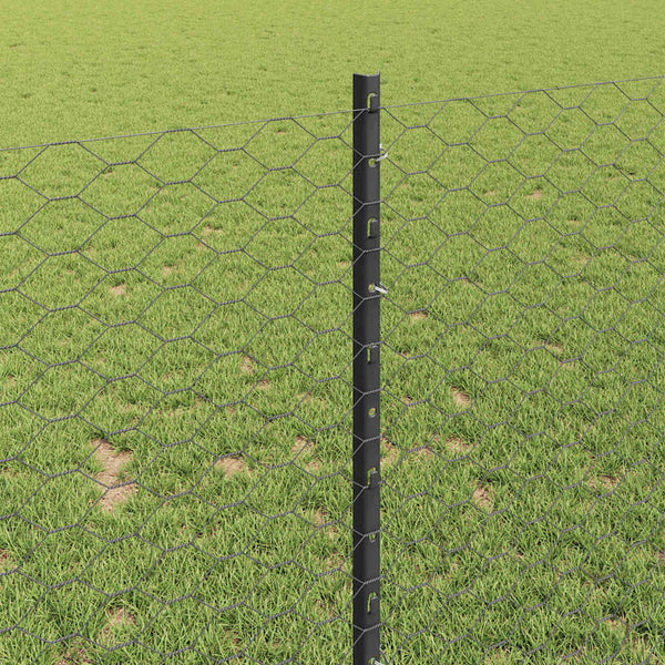 Kuusikulmainen aita pylväällä 10 x 0,8 m PVC-pinnoitettu teräs