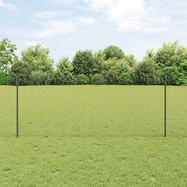 Kuusikulmainen aita pylväällä 10 x 1 m PVC-pinnoitettu teräs
