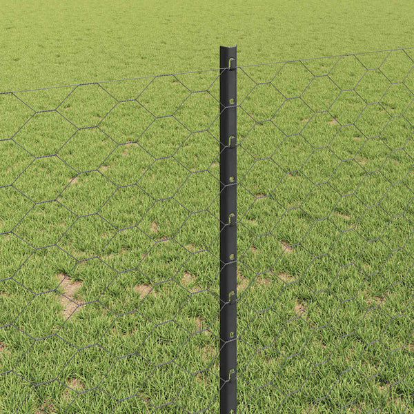 Kuusikulmainen aita pylväällä 10 x 1 m PVC-pinnoitettu teräs