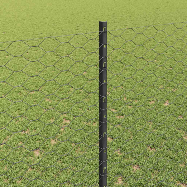 Kuusikulmainen aita pylväällä 10 x 1,5 m PVC-pinnoitettu teräs