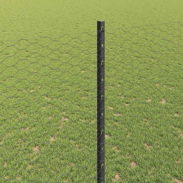 Kuusikulmainen aita pylväällä 10 x 1,6 m PVC-pinnoitettu teräs