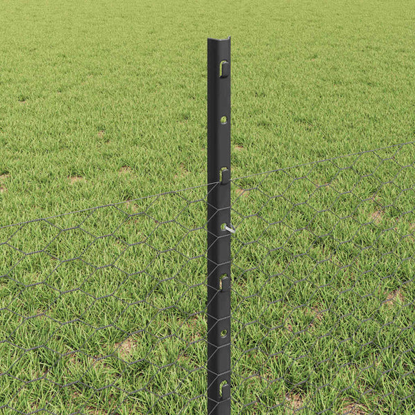 Kuusikulmainen aita pylväällä 25 x 0,5 m PVC-pinnoitettu teräs