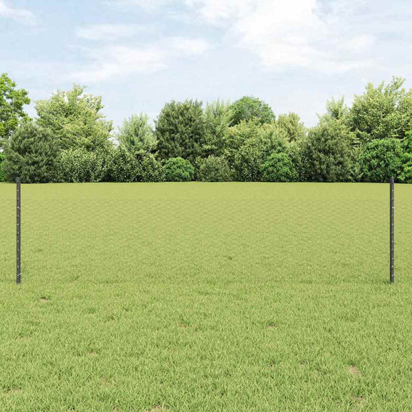 Kuusikulmainen aita pylväällä 25 x 0,5 m PVC-pinnoitettu teräs