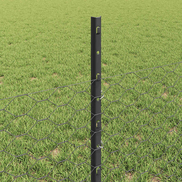 Kuusikulmainen aita pylväällä 25 x 0,5 m PVC-pinnoitettu teräs