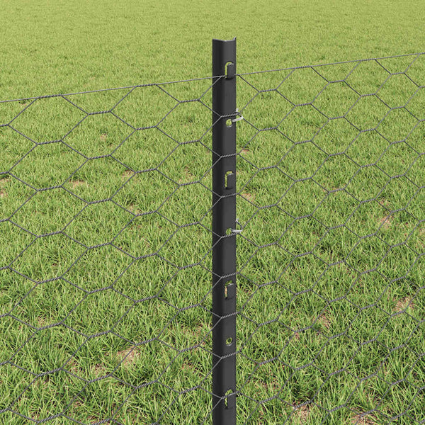 Kuusikulmainen aita pylväällä 25 x 0,6 m PVC-pinnoitettu teräs