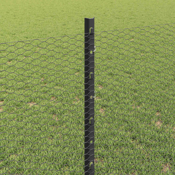 Kuusikulmainen aita pylväällä 25 x 0,8 m PVC-pinnoitettu teräs