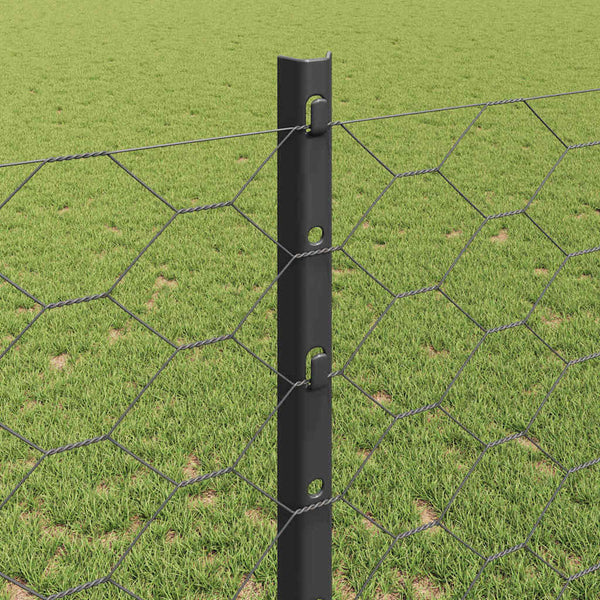Kuusikulmainen aita pylväällä 25 x 1,2 m PVC-pinnoitettu teräs