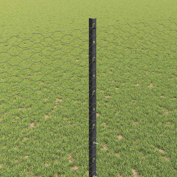 Kuusikulmainen aita pylväällä 25 x 1,4 m PVC-pinnoitettu teräs