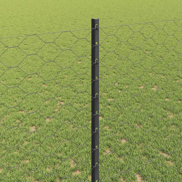 Kuusikulmainen aita pylväällä 25 x 1,4 m PVC-pinnoitettu teräs