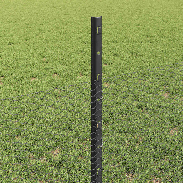 Kuusikulmainen aita pylväällä 50 x 0,5 m PVC-pinnoitettu teräs