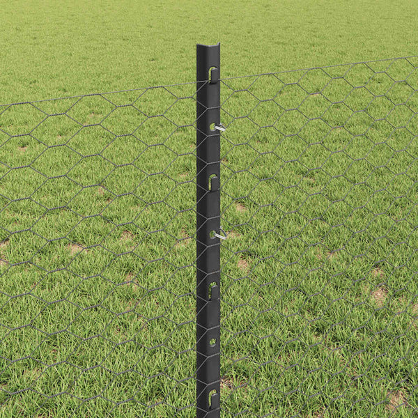 Kuusikulmainen aita pylväällä 50 x 0,8 m PVC-pinnoitettu teräs