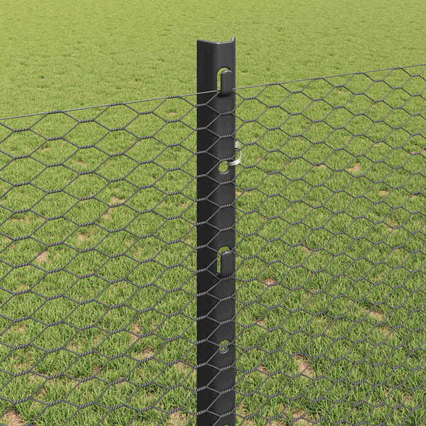 Kuusikulmainen aita pylväällä 50 x 1,2 m PVC-pinnoitettu teräs