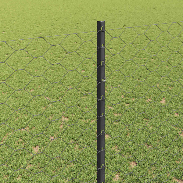 Kuusikulmainen aita pylväällä 50 x 1,5 m PVC-pinnoitettu teräs