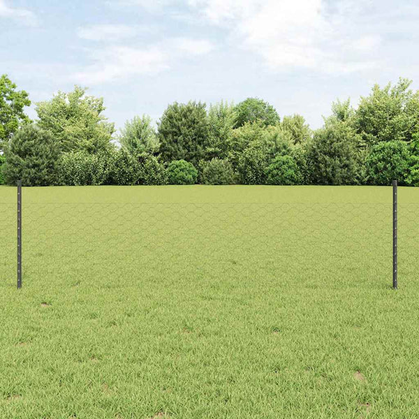 Kuusikulmainen aita pylväällä 100 x 0,5 m PVC-pinnoitettu teräs