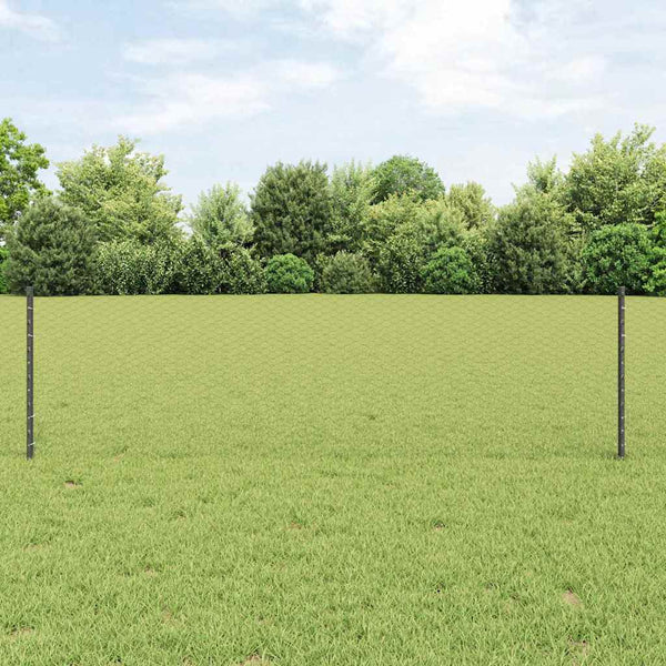 Kuusikulmainen aita pylväällä 100 x 0,6 m PVC-pinnoitettu teräs