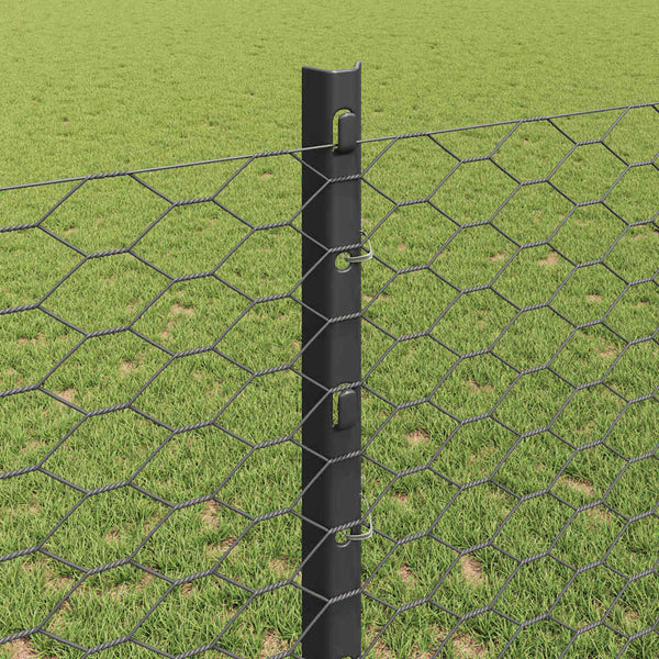 Kuusikulmainen aita pylväällä 100 x 1,2 m PVC-pinnoitettu teräs