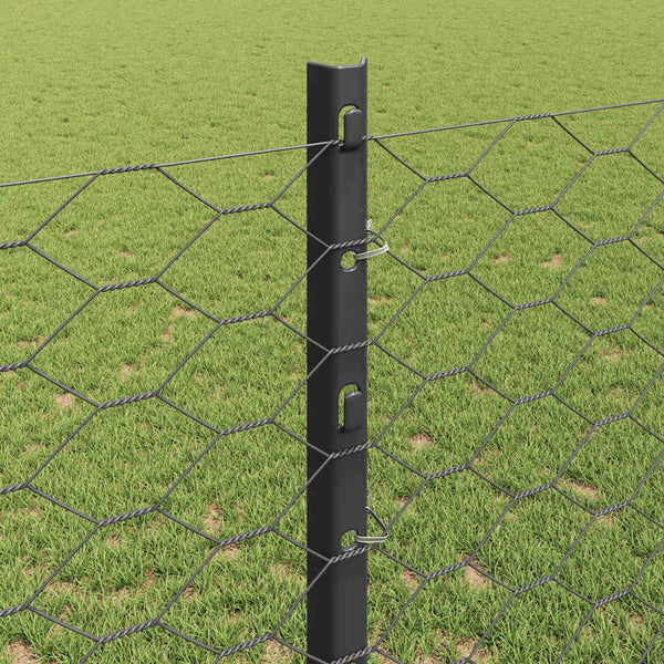 Kuusikulmainen aita pylväällä 100 x 1,2 m PVC-pinnoitettu teräs