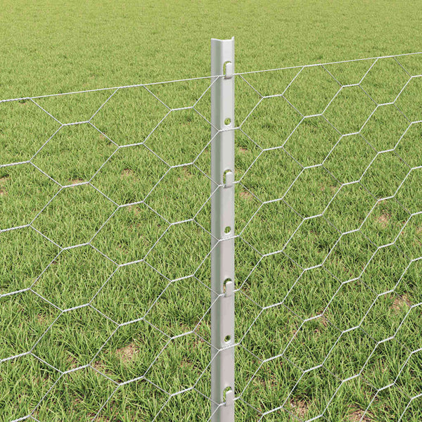 Kuusikulmainen aita pylväällä 25 x 0,6 m Galvanoitu teräs Hopea
