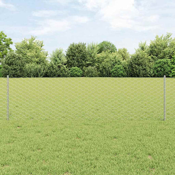 Kuusikulmainen aita pylväällä 25 x 0,6 m Galvanoitu teräs Hopea