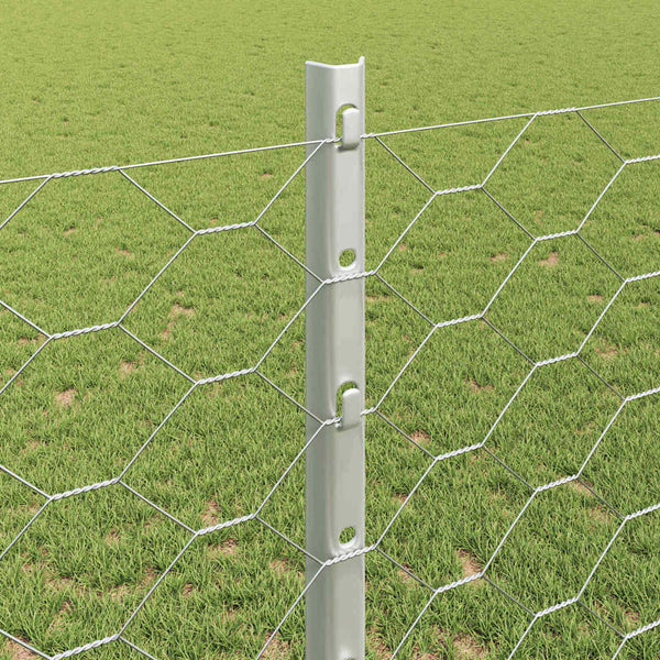 Kuusikulmainen aita pylväällä 25 x 1,2 m Galvanoitu teräs Hopea