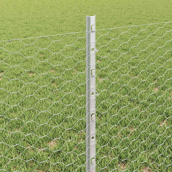 Kuusikulmainen aita pylväällä 50 x 0,6 m Galvanoitu teräs Hopea