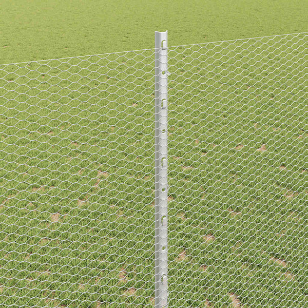 Kuusikulmainen aita pylväällä 50 x 1,4 m Galvanoitu teräs Hopea