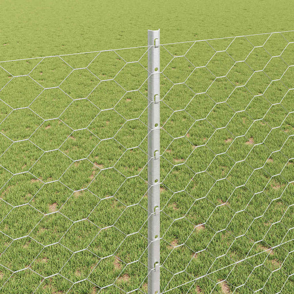 Kuusikulmainen aita pylväällä 50 x 1,4 m Galvanoitu teräs Hopea