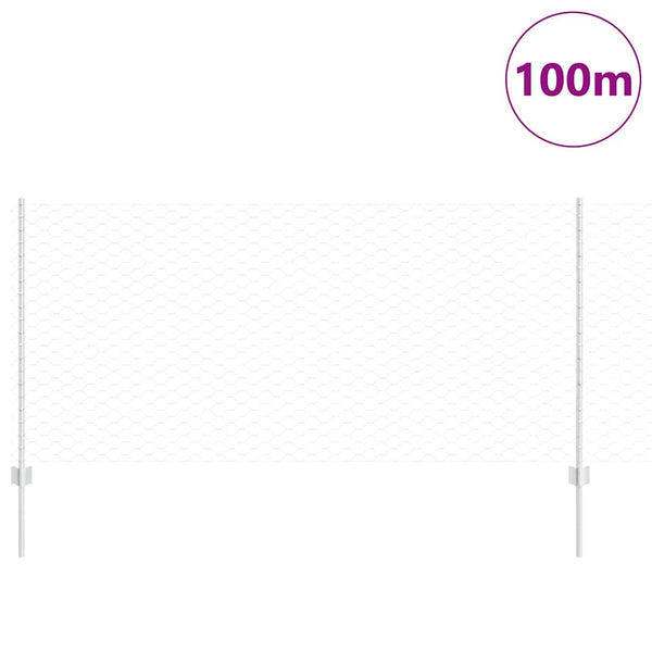 Kuusikulmainen aita pylväällä 100 x 1 m Galvanoitu teräs Hopea