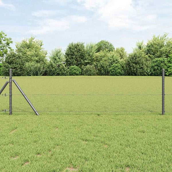 Kuusikulmainen aita 0,8 x 25 m Polyvinyylikloridi Harmaa