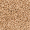 Porrasmatot 30 kpl 56x17x3 cm Beige puolipyöreä
