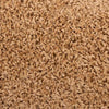 Porrasmatot 30 kpl Beige 65x21x4 cm