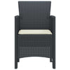 Antrasiitti puutarhan tuoli Nastunea 53x49x85cm (2 pcs)