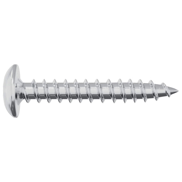 Puuruuvit 2 kpl Hopea M4 x 25 mm Teräs