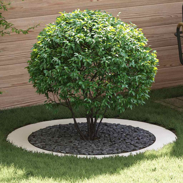 sopiva Litteille puu renkaalle 5 kpl Valkoinen Ø90/120 cm Teräs