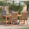 Ruskea puutarhan tuoli Cedomir 57x71.5x104cm (4 pcs, tiikki)