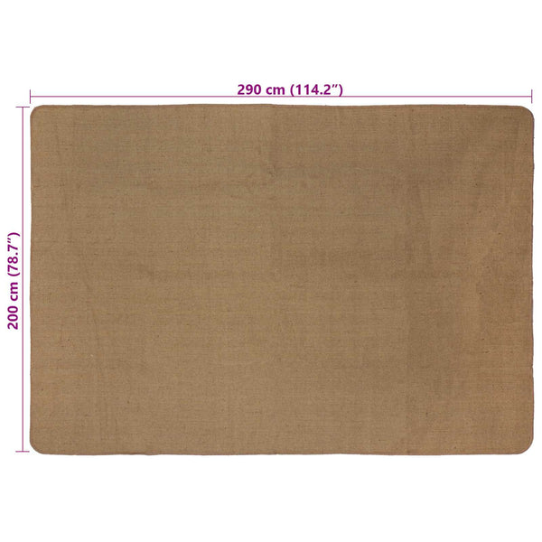 Alue Matto Vaaleanruskea 200 x 290 cm Juutti