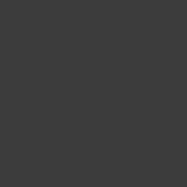 Aitalatu ASSEN 200 x 88 x 14 cm Teräs Harmaa Lukittava