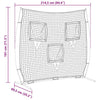 Baseballin harjoitusverkko Musta 214,5 x 89,5 x 181 cm