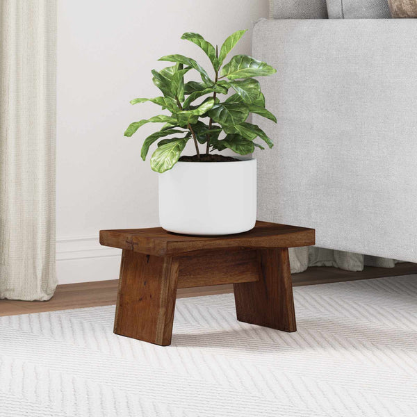 Jakkara Luonnollinen 29 x 20 x 17 cm Mahogany-puu