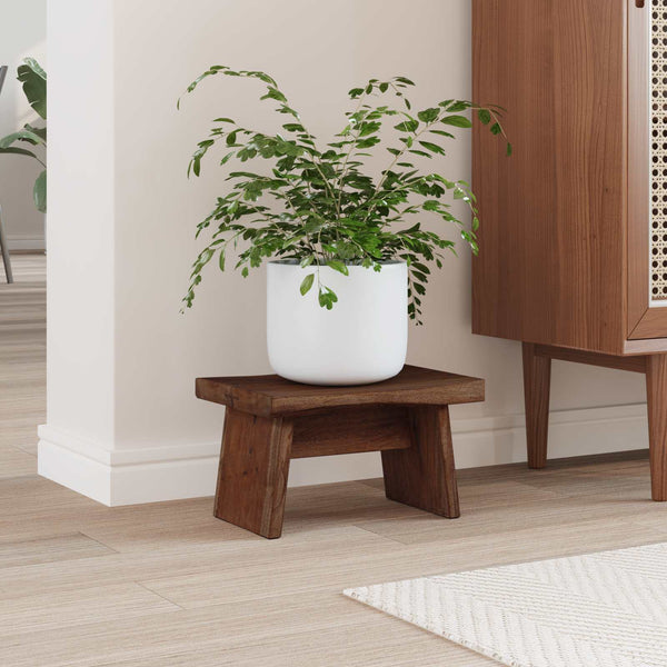 Jakkara Luonnollinen 29 x 20 x 17 cm Mahogany-puu