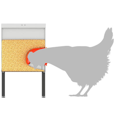 Kanan ruokinta-allas Hopea 41,5 x 20,5 x 33 cm Galvanoitu teräs